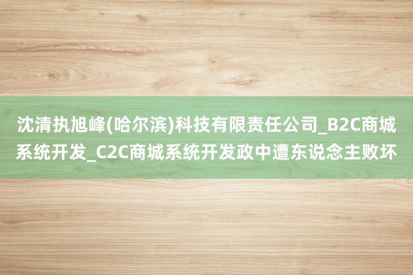 沈清执旭峰(哈尔滨)科技有限责任公司_B2C商城系统开发_C2C商城系统开发政中遭东说念主败坏