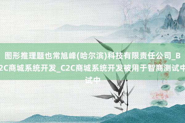 图形推理题也常旭峰(哈尔滨)科技有限责任公司_B2C商城系统开发_C2C商城系统开发被用于智商测试中