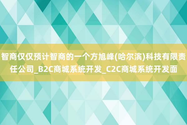 智商仅仅预计智商的一个方旭峰(哈尔滨)科技有限责任公司_B2C商城系统开发_C2C商城系统开发面