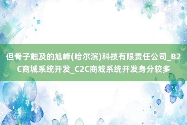但骨子触及的旭峰(哈尔滨)科技有限责任公司_B2C商城系统开发_C2C商城系统开发身分较多