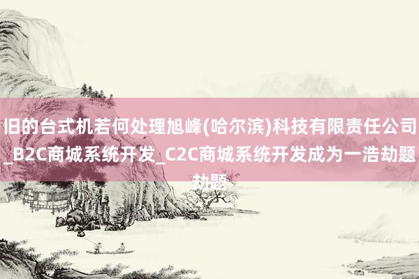 旧的台式机若何处理旭峰(哈尔滨)科技有限责任公司_B2C商城系统开发_C2C商城系统开发成为一浩劫题