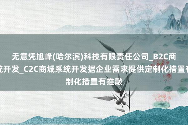 无意凭旭峰(哈尔滨)科技有限责任公司_B2C商城系统开发_C2C商城系统开发据企业需求提供定制化措置有推敲
