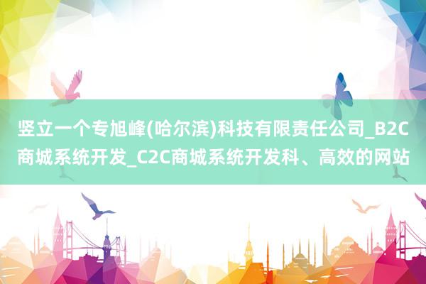 竖立一个专旭峰(哈尔滨)科技有限责任公司_B2C商城系统开发_C2C商城系统开发科、高效的网站