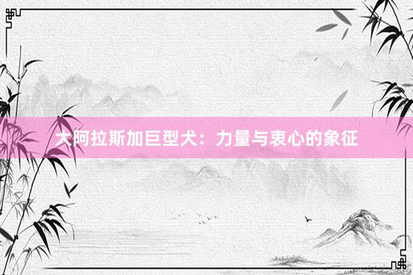 大阿拉斯加巨型犬：力量与衷心的象征